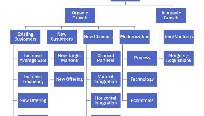 Business growth strategies